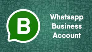 WhatsApp business apk